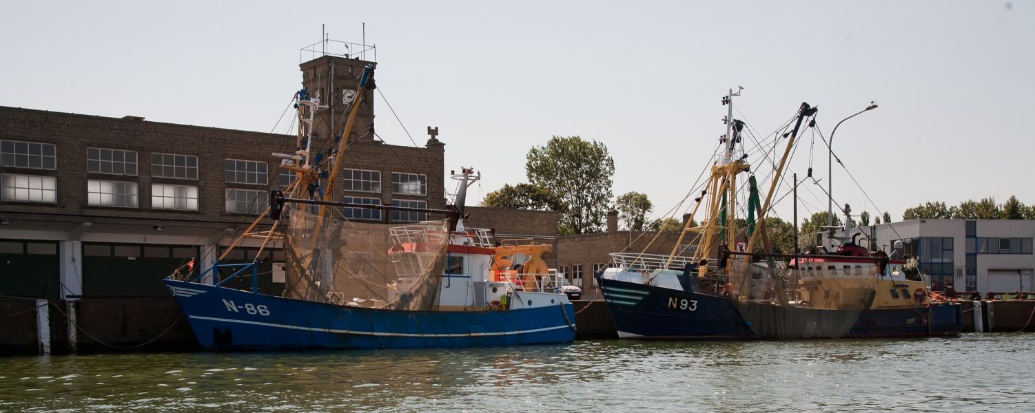havenrondvaart - seastar_0025-2500.jpg